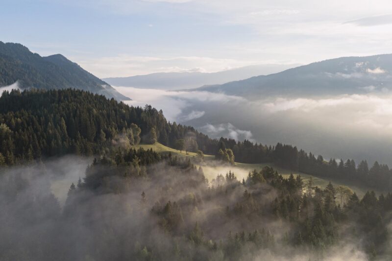 Forest-Farmhouse-Austria-04