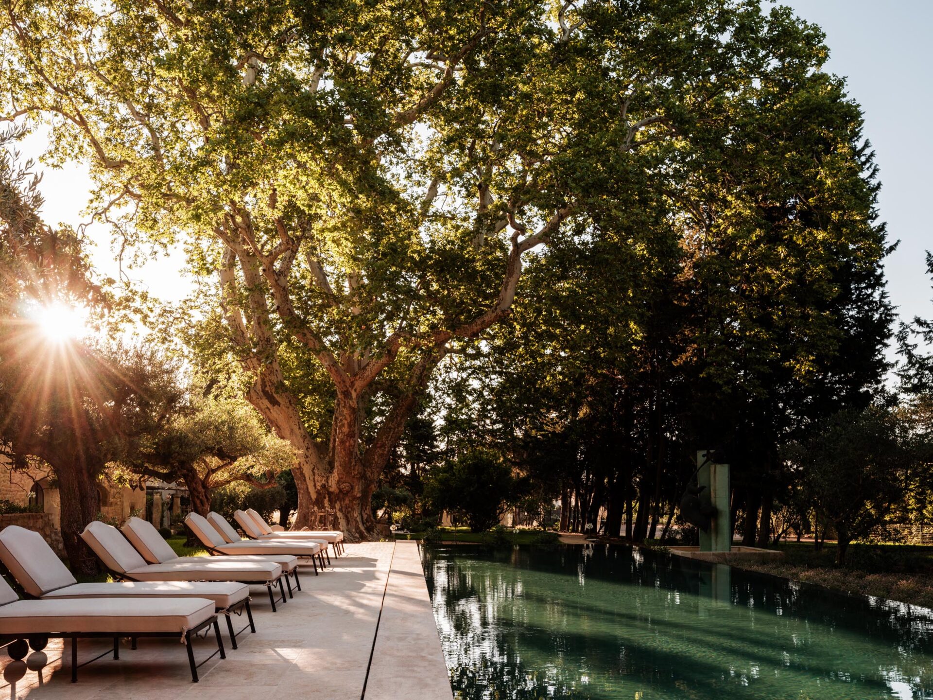 Swimming pool at sunset in Provence